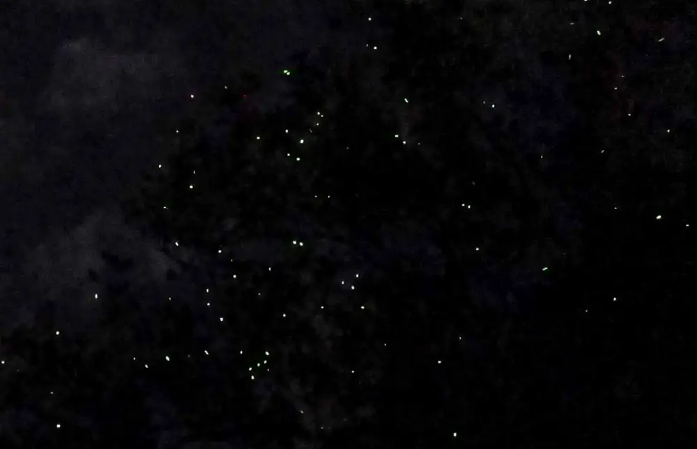 philippines_ogod_river_fireflies_by_gregg_yan