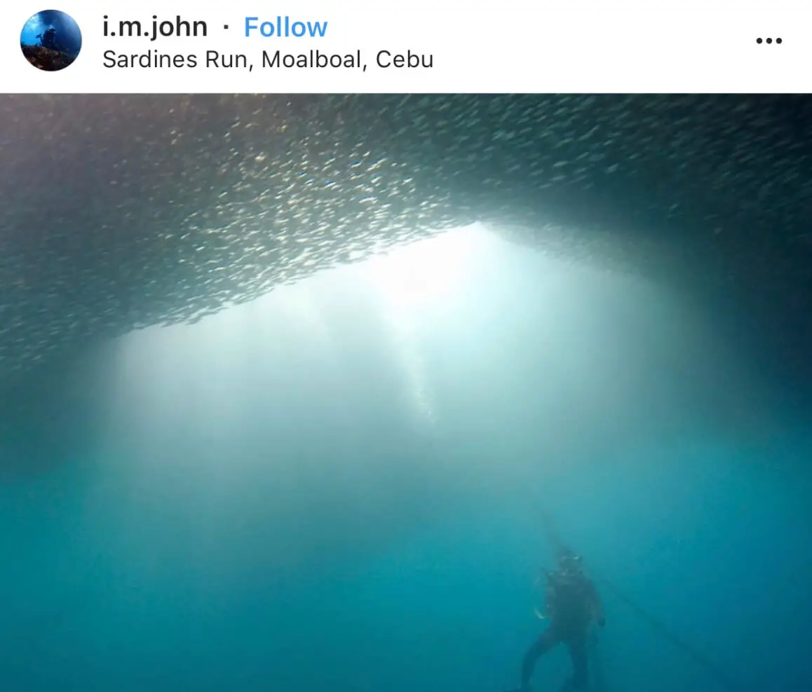 Sardine Run - The Top 20 Best Instagram Locations in the Philippines!