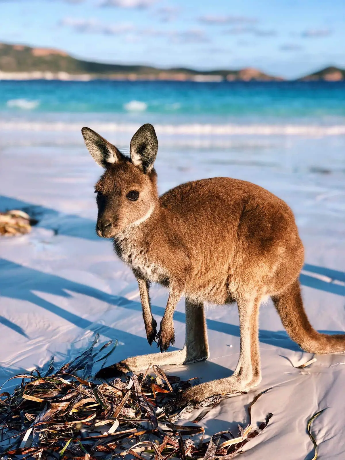 Instagram locations in Western Australia - Lucky Bay