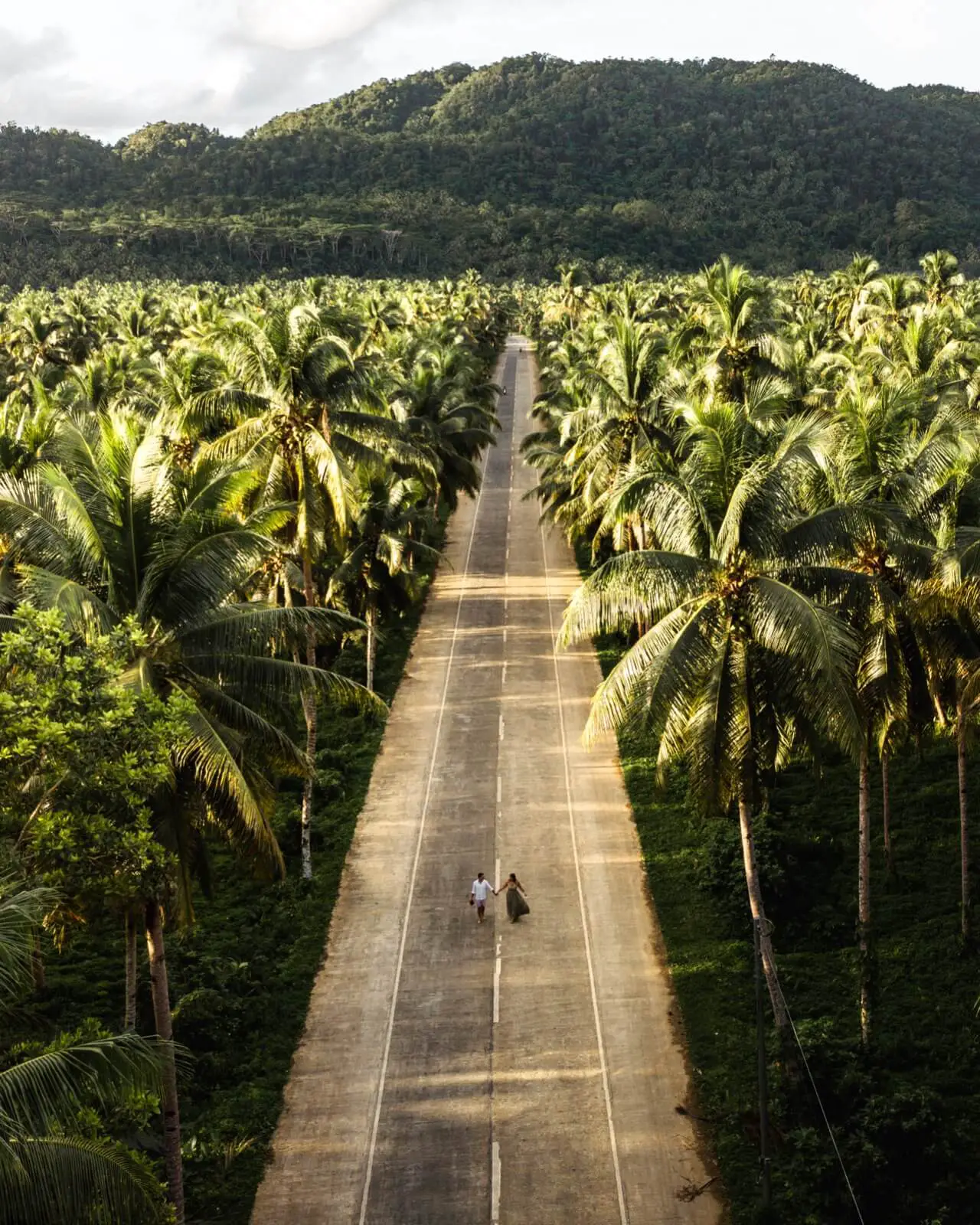 Palm Tree Road Siargao in the morning