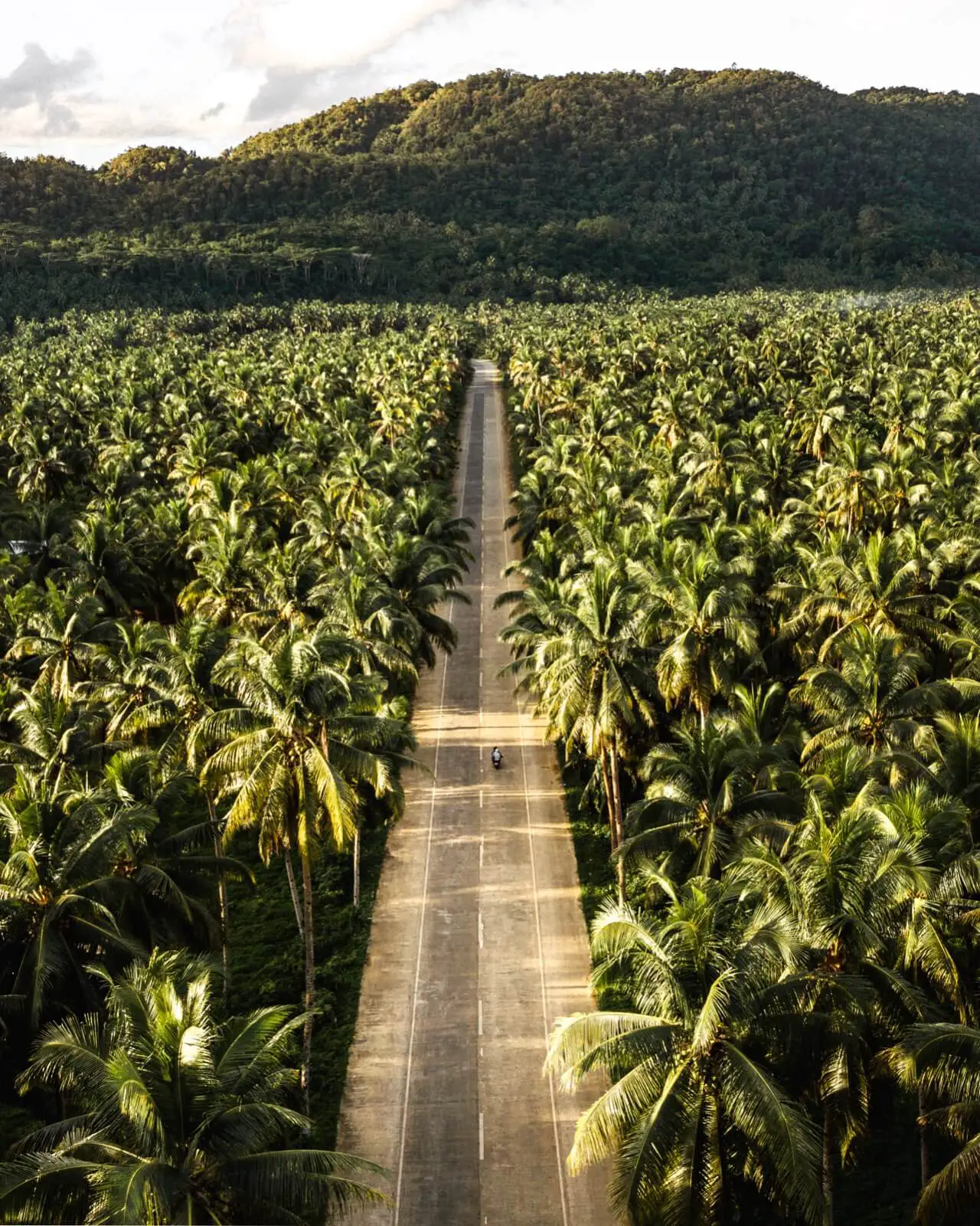 The Palm Tree Road Siargao Maasin River