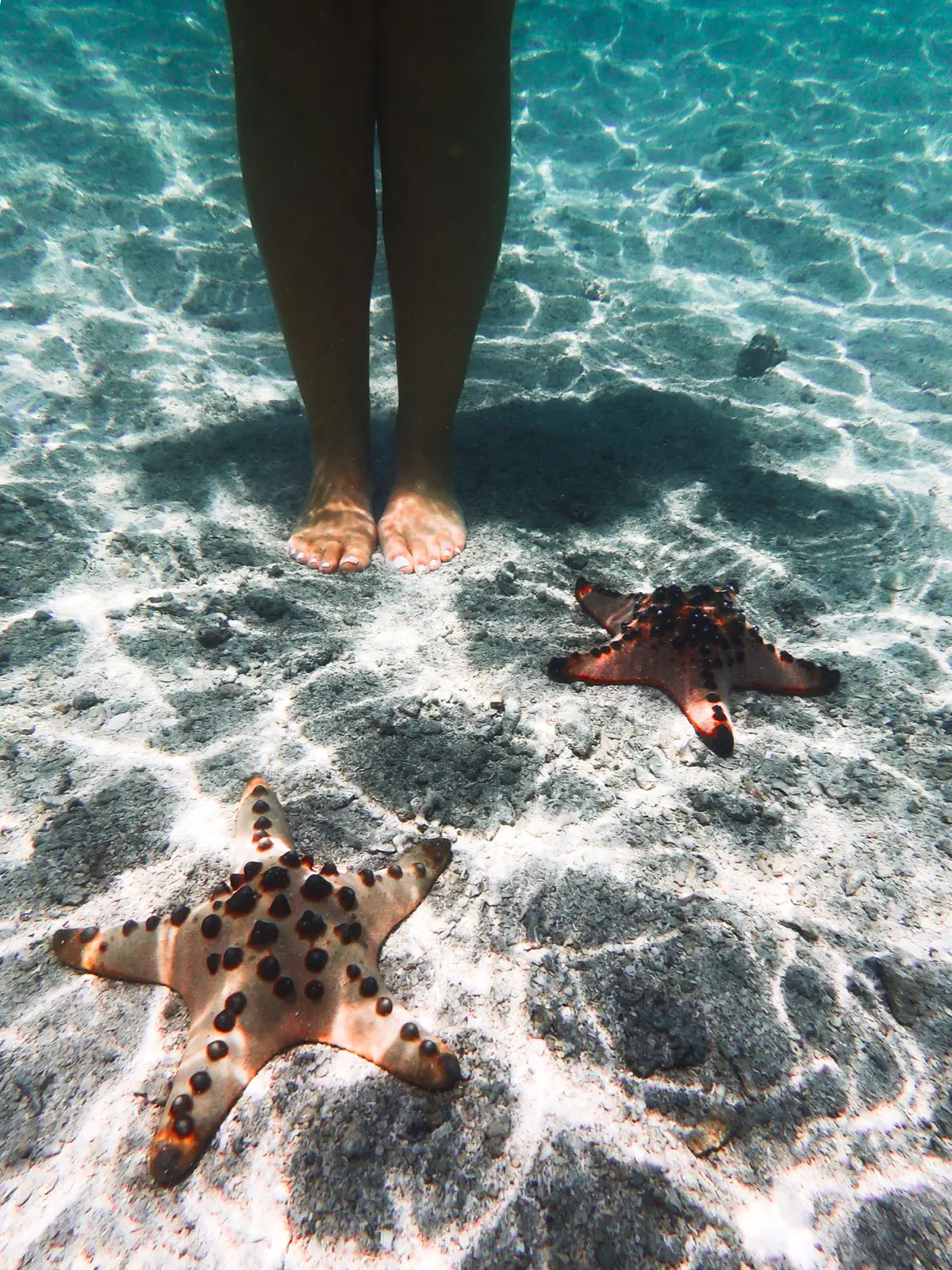 Starfish Island, Puerto Princesca