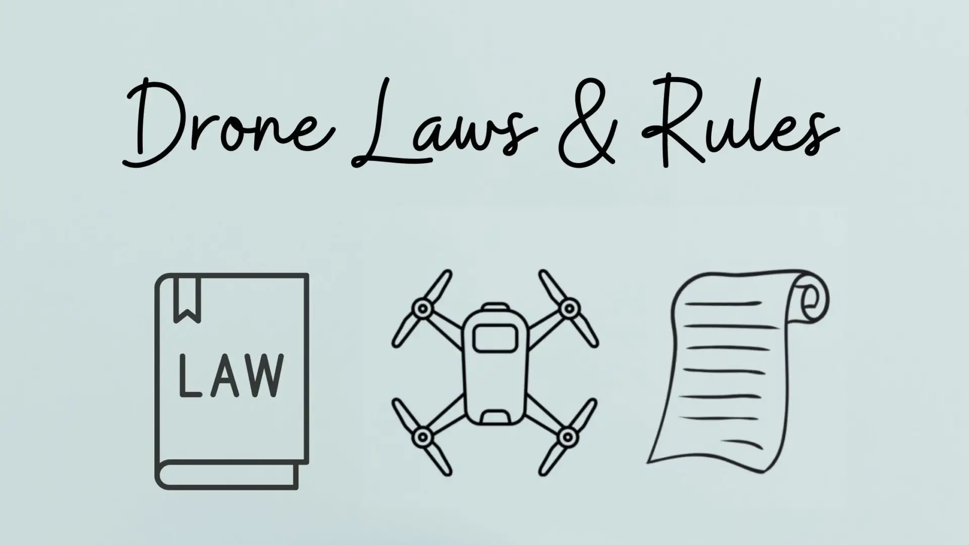 Drone Law