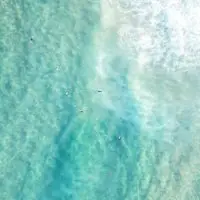 01 SURFS UP, Bondi Beach